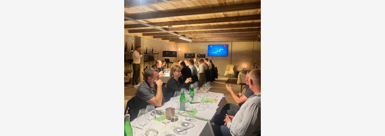 Bourgogne VS Tysk Chardonnay