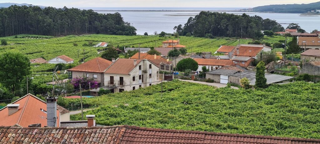 Bodegas Albamar