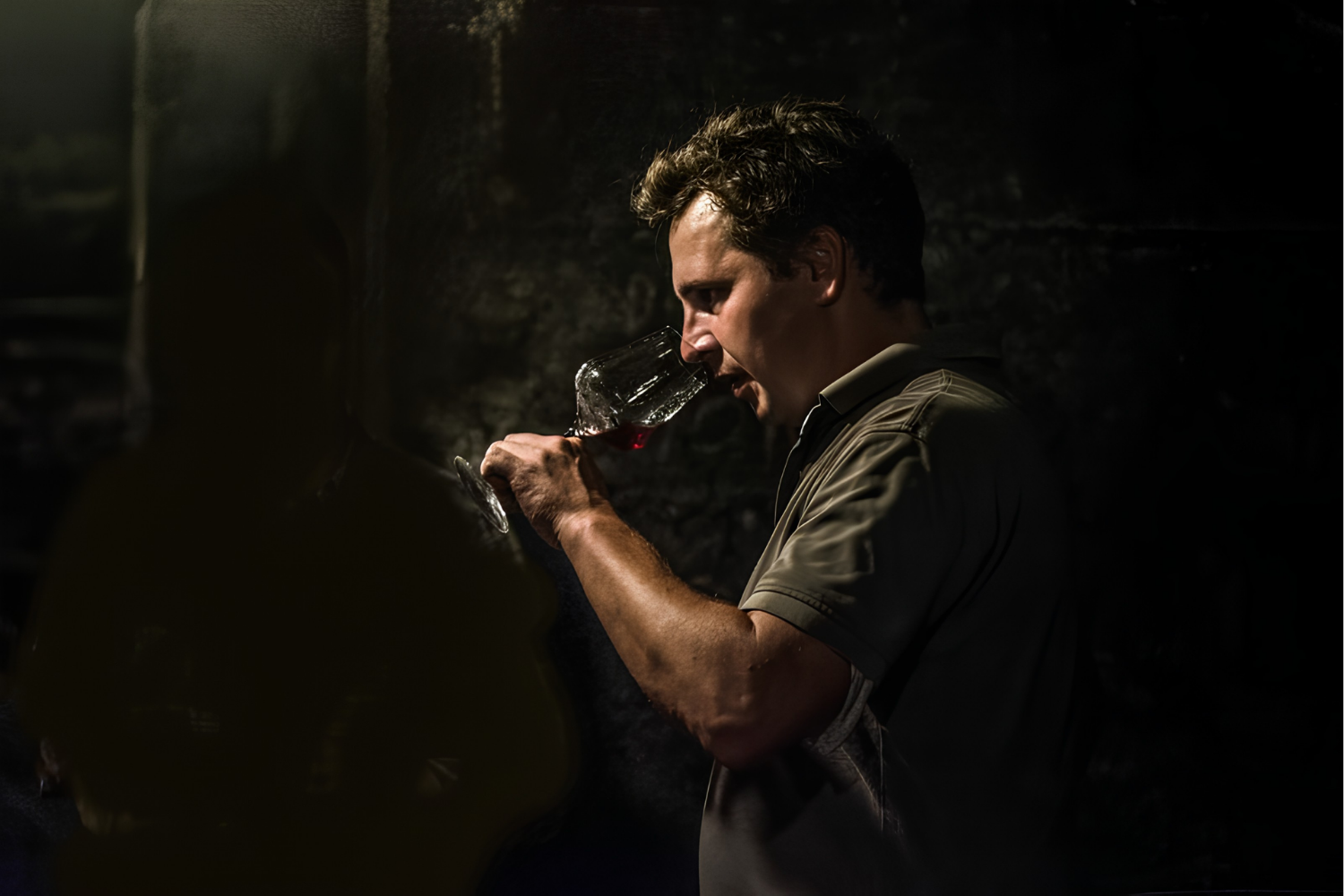 Daniel Twardowski - Pinot Noix