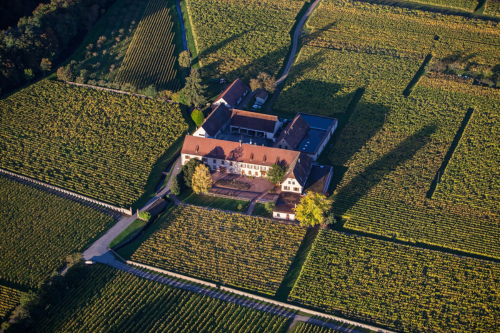 Domaine Weinbach i Alsace