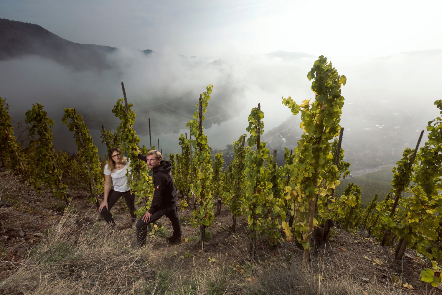 Weingut Franzen