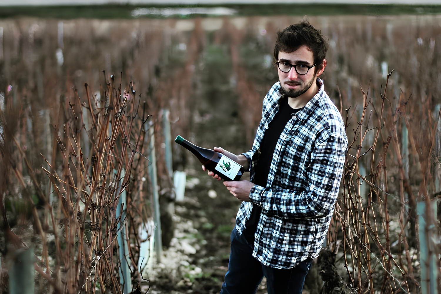 J&eacute;r&eacute;my Arnaud - Chablis