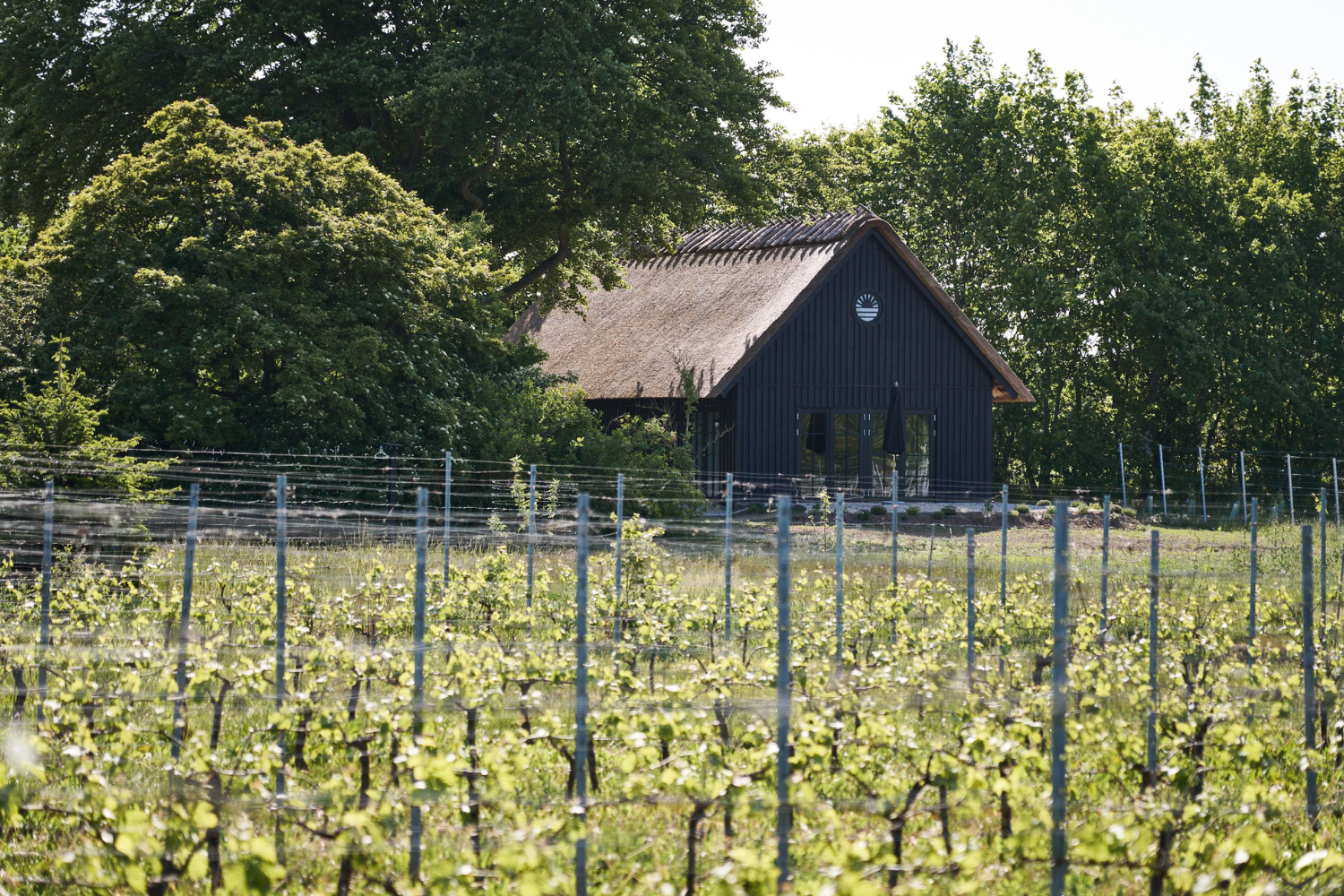 Klitgaard Vin