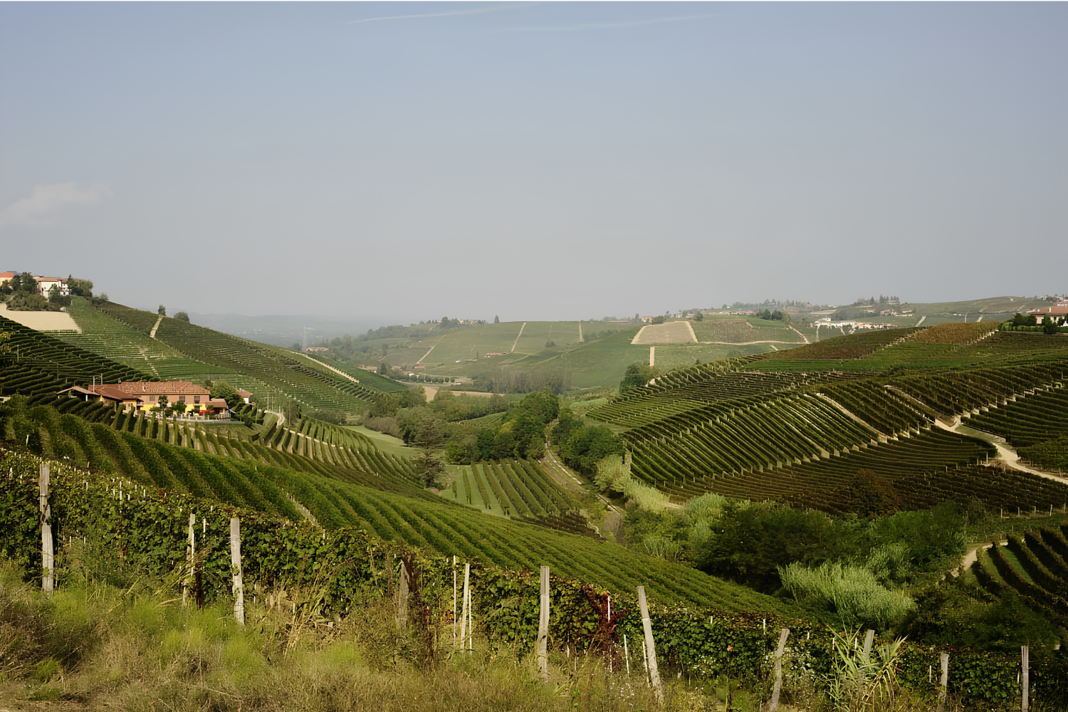 Taverna Wines
