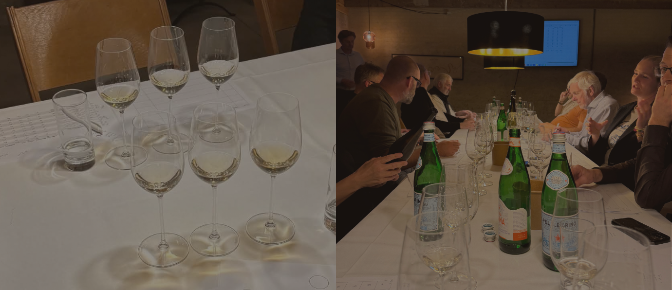 Vinsmagning Recap