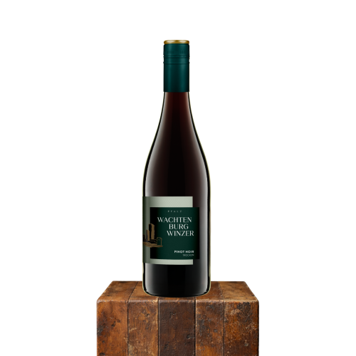 Pinot Noir fra Wachtenburg Winzer i Pfalz