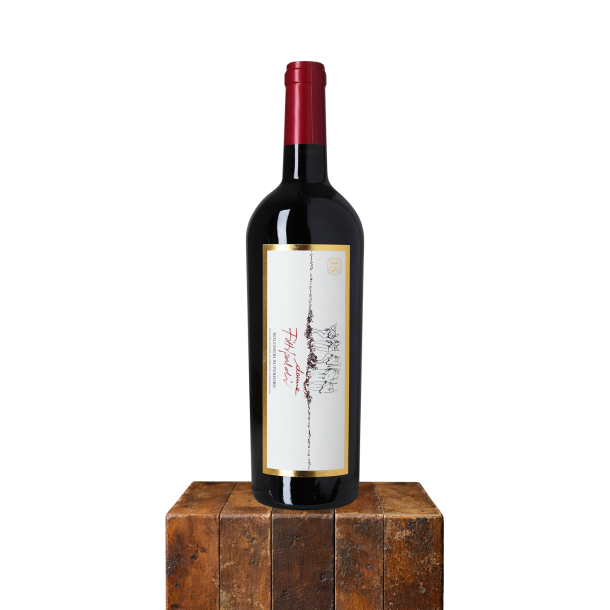 2018 Bolgheri Superiore, Donne Fittipaldi, Italien