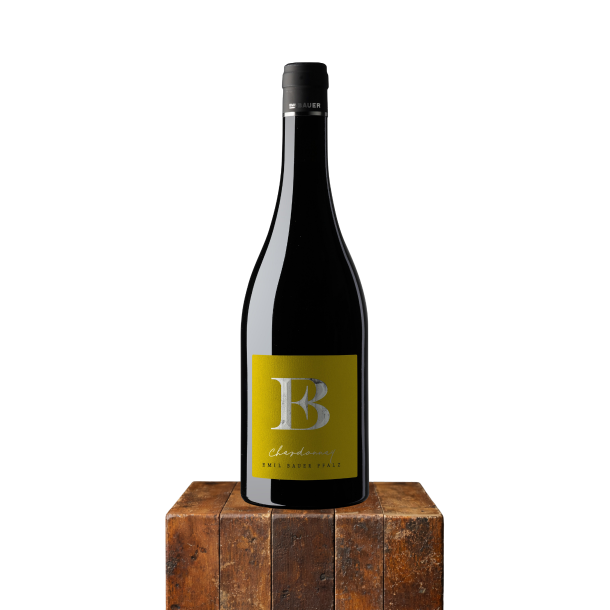 2024 Chardonnay Nussdorf, Emil Bauer, Pfalz, Tyskland