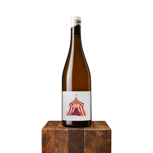 2023 Cirque de Levures, Gebr�der Mathis, Baden, Tyskland
