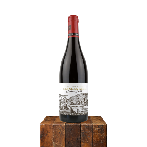 2017 Sp�tburgunder Klingenberg Alte Reben, Steintal, Franken, Tyskland