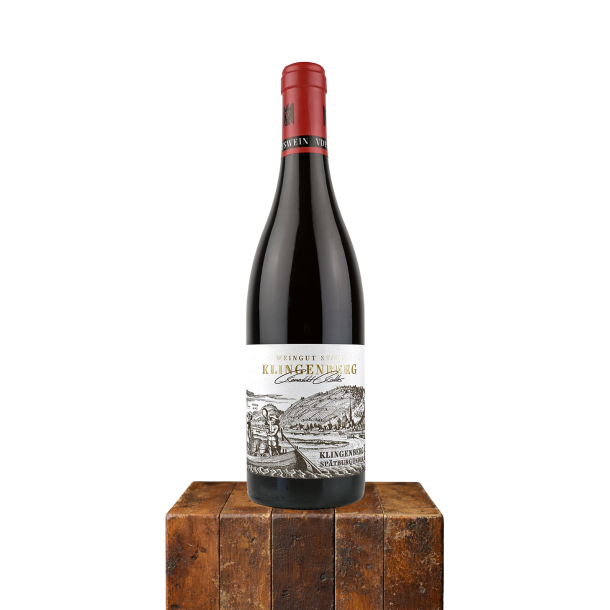 2017 Sp�tburgunder Klingenberg Alte Reben, Steintal, Franken, Tyskland