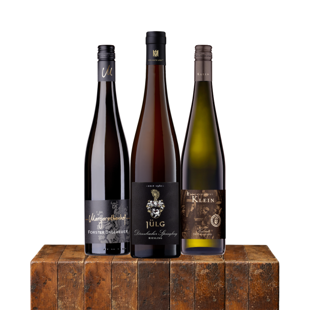 Smagekasse Pfalz Riesling "Vin for begyndere"