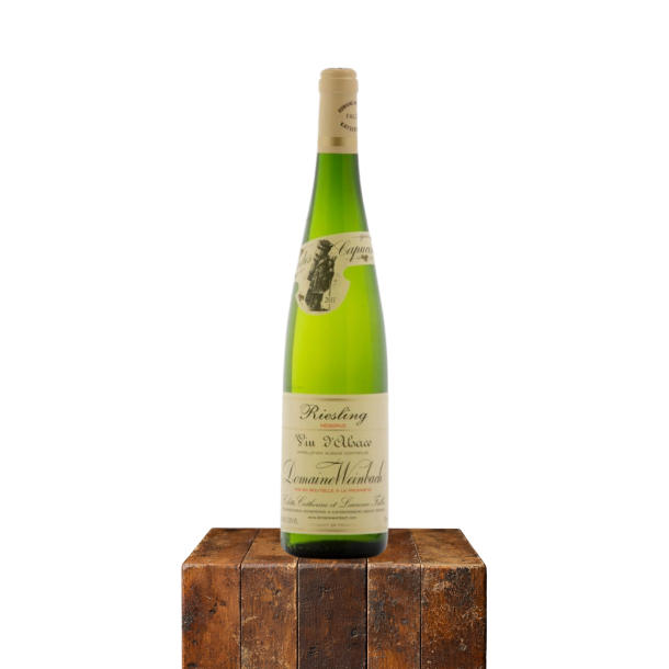 2020 Riesling, Domaine Weinbach, Alsace, Frankrig