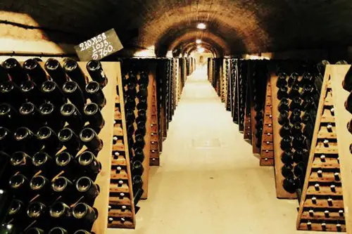 Flaskeg�ringen er igang i pupitre (specielle reoler) i en k�lder i Champagne