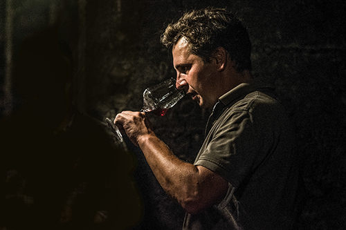 Daniel Twardoswski pr�vesmager sin pinot noir. P� rekordtid er han blevet en af tysklands mestre p� druen