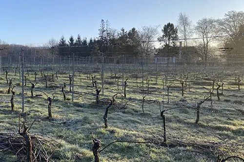 Klitgaard Vin