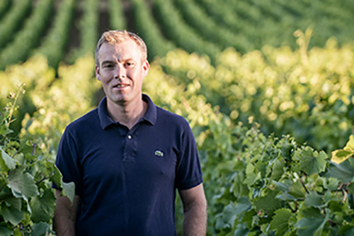 Billede af Benjamin Leroux, en af de vinb�nder som stadig leverer meget vin for pengene i Bourgogne