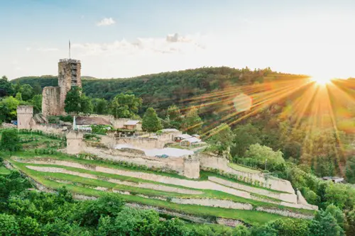 Billedet viser borgruinen Wachtenburg ved Wachenheim i Pfalz